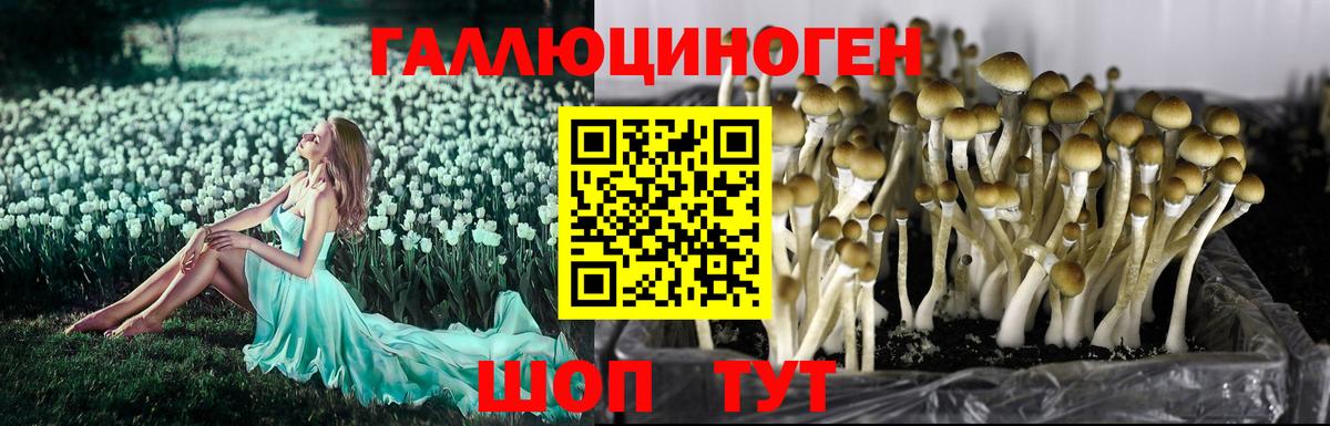 Псилоцибиновые грибы мухоморы Вятские Поляны